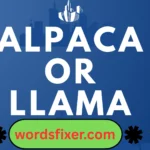 alpaca or llama