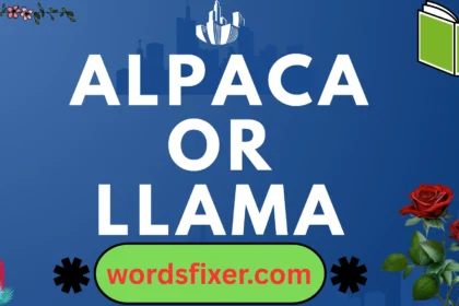 alpaca or llama