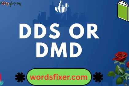 dds or dmd