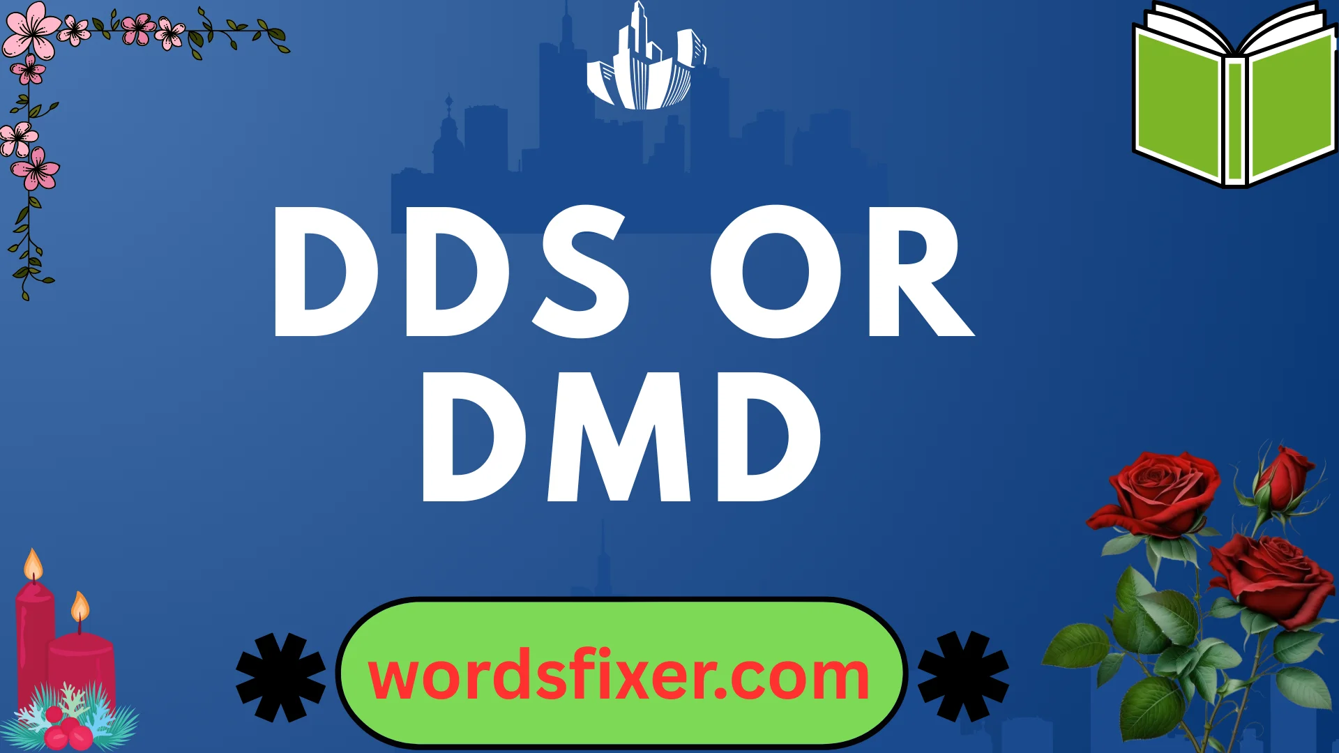 dds or dmd