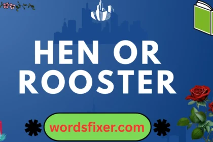 hen or rooster