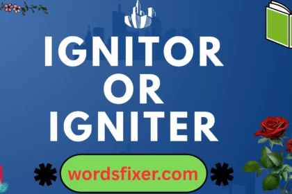 ignitor or igniter