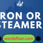iron or steamer