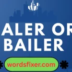 baler or bailer