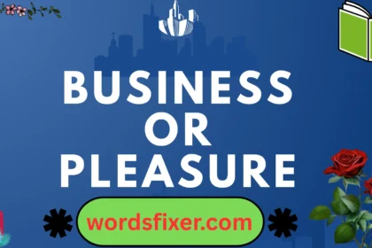 business or pleasure