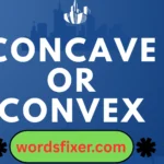 concave or convex