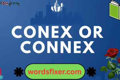 conex or connex