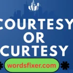 courtesy or curtesy