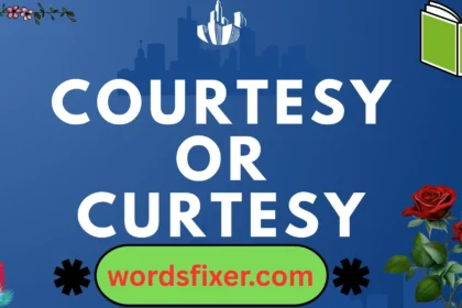 courtesy or curtesy