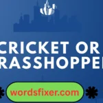 cricket or grasshopper