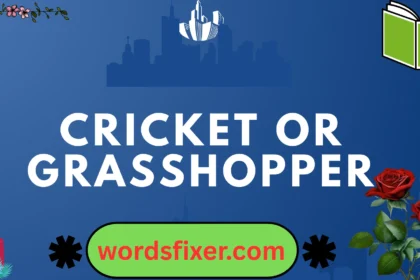 cricket or grasshopper