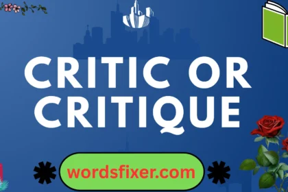 critic or critique