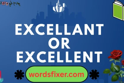 excellant or excellent