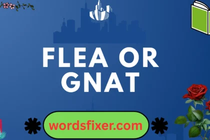 flea or gnat