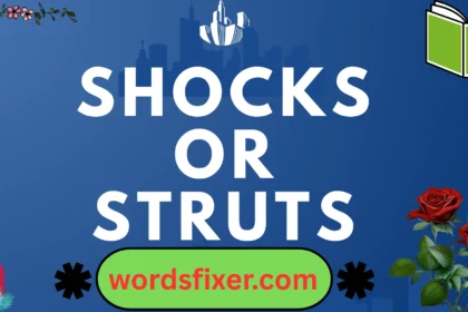 shocks or struts