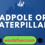 tadpole or caterpillar