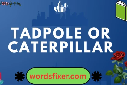 tadpole or caterpillar