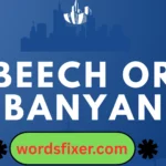 beech or banyan