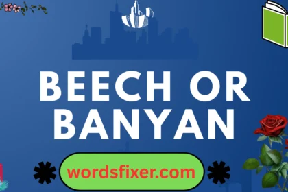beech or banyan