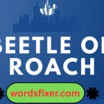 beetle or roach