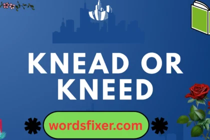 knead or kneed