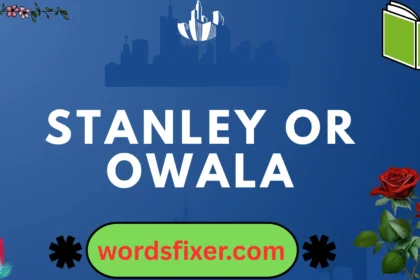 stanley or owala