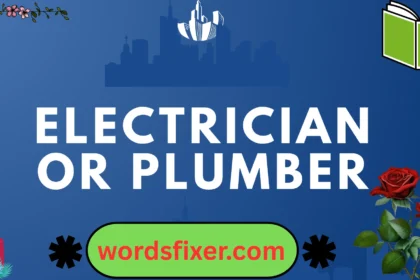 electrician or plumber