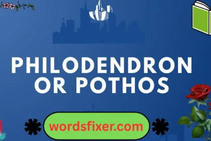 philodendron or pothos