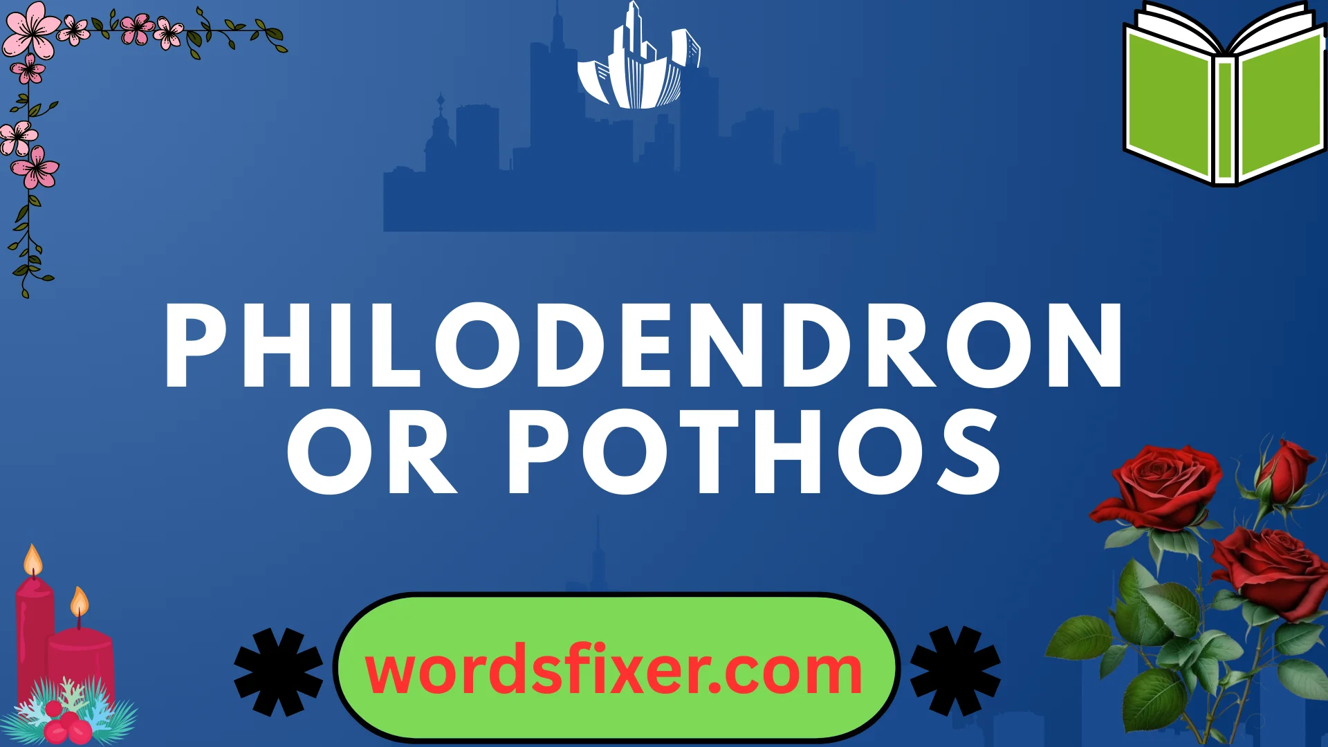 philodendron or pothos